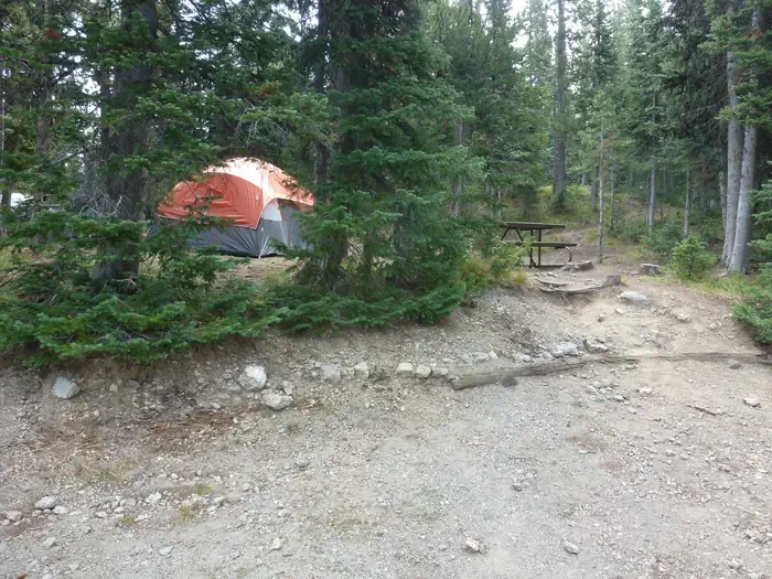Lewis Lake site #20