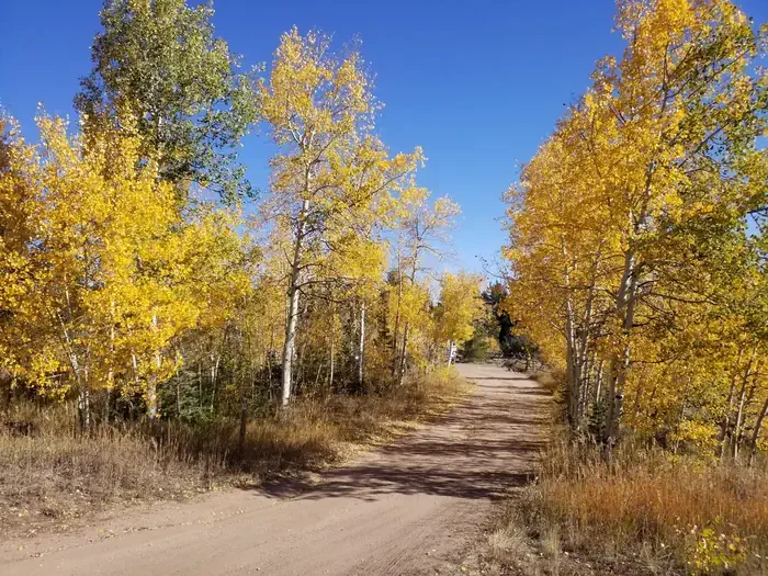 Tie City Campground (WY)