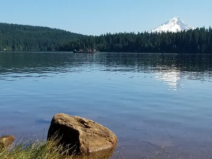 Gone Creek Campground (Timothy Lake, OR)