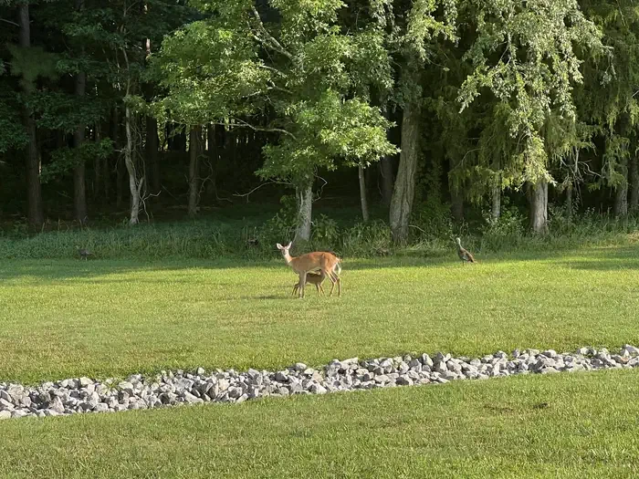 Kendall Campground