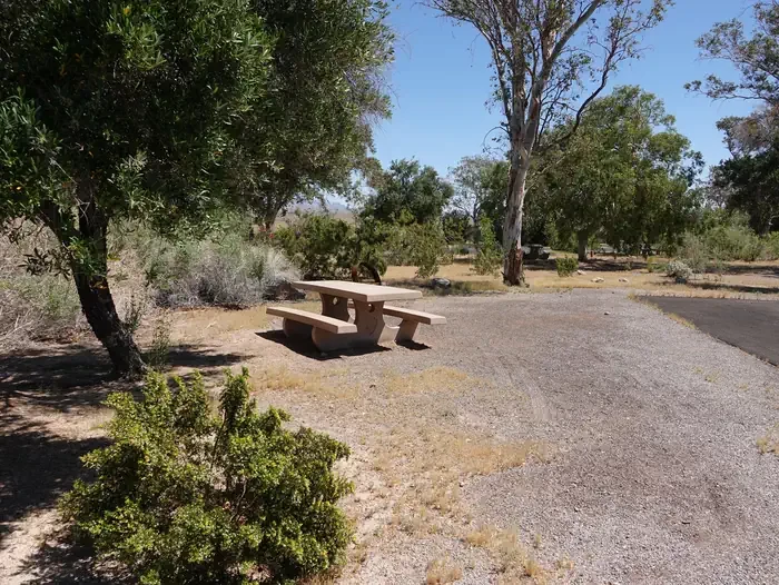 Site 10