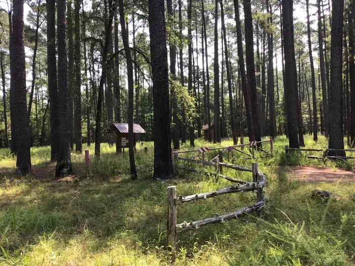 Poulous Group Campground