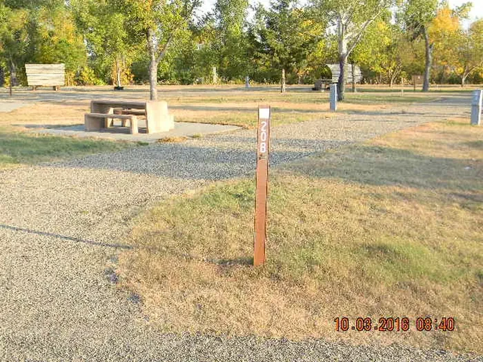 20B