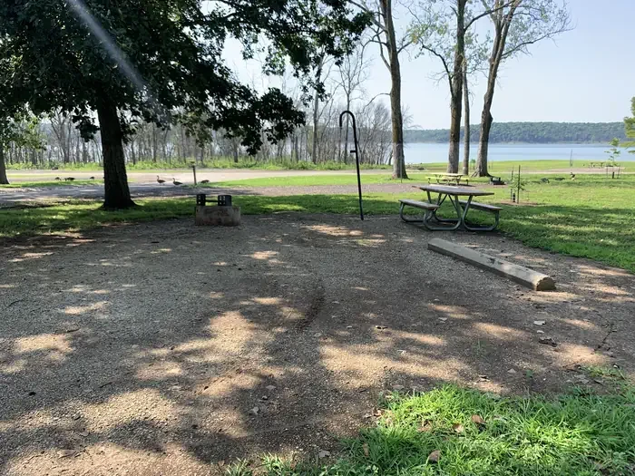 131