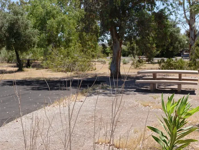 Site 49