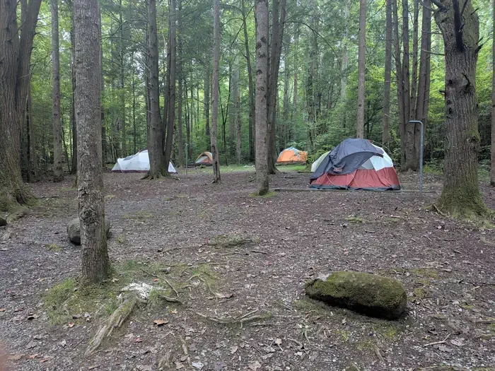 Big Creek Group Camp