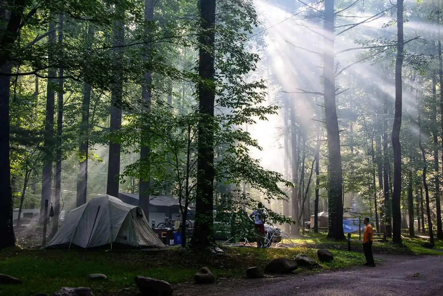 The Great Smoky Mountains Firefly Viewing Lottery