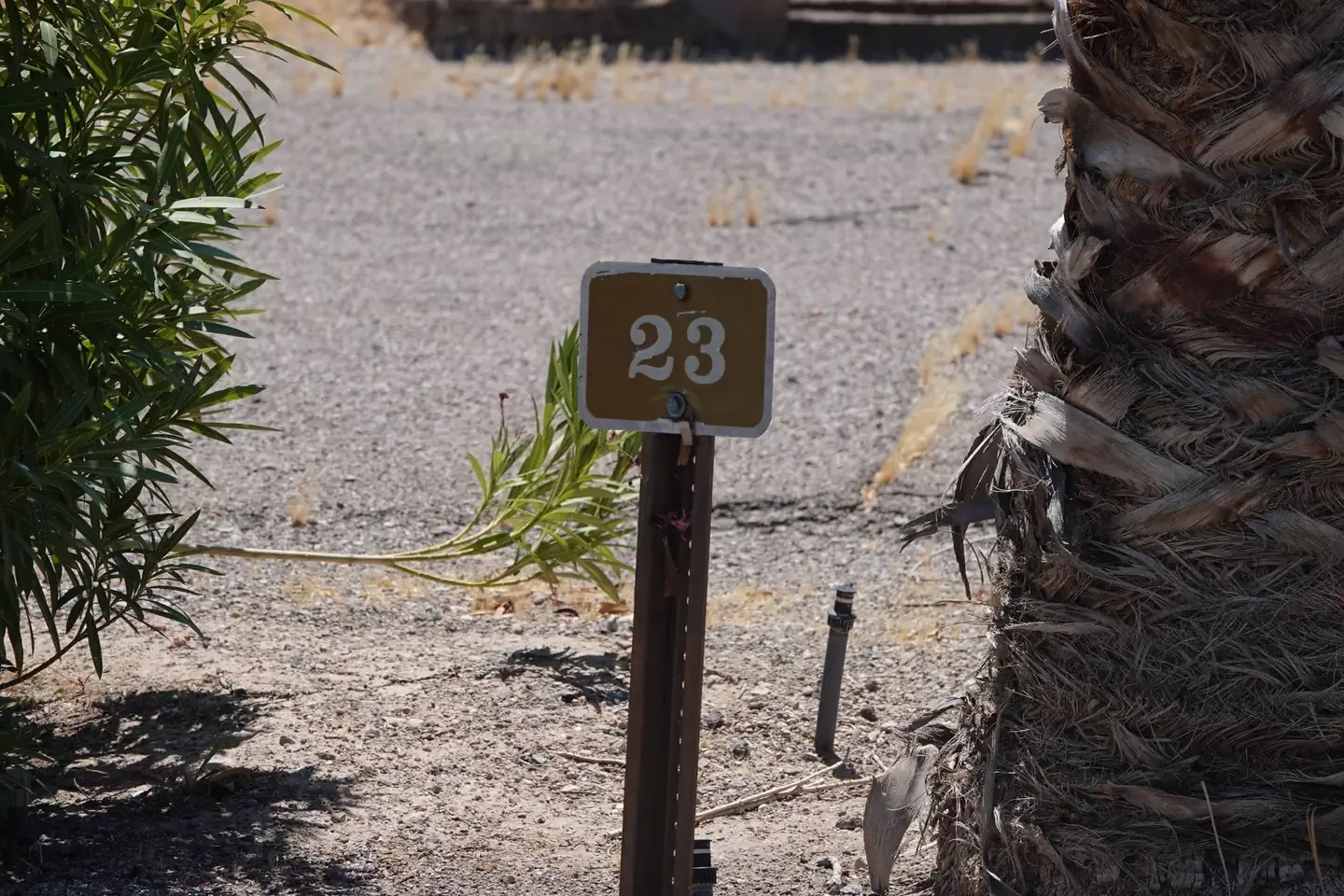 Site 23