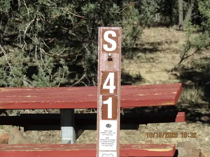 41