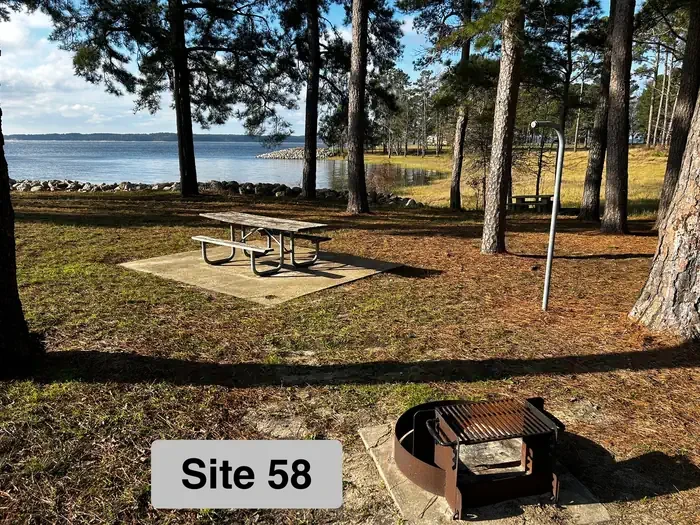 58