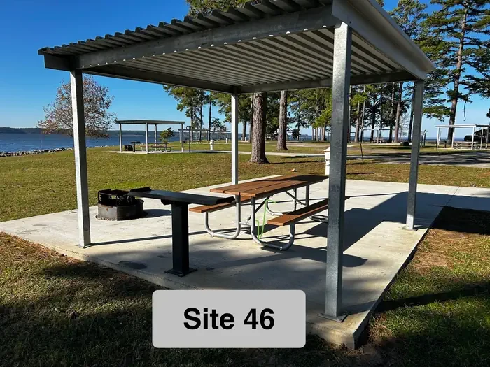 46