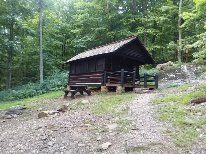 Cabin 48