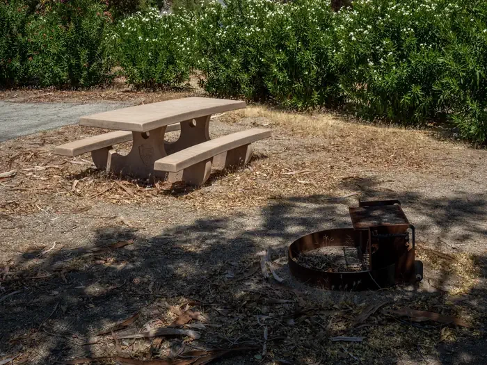 Site 21