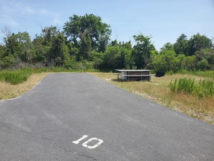A10