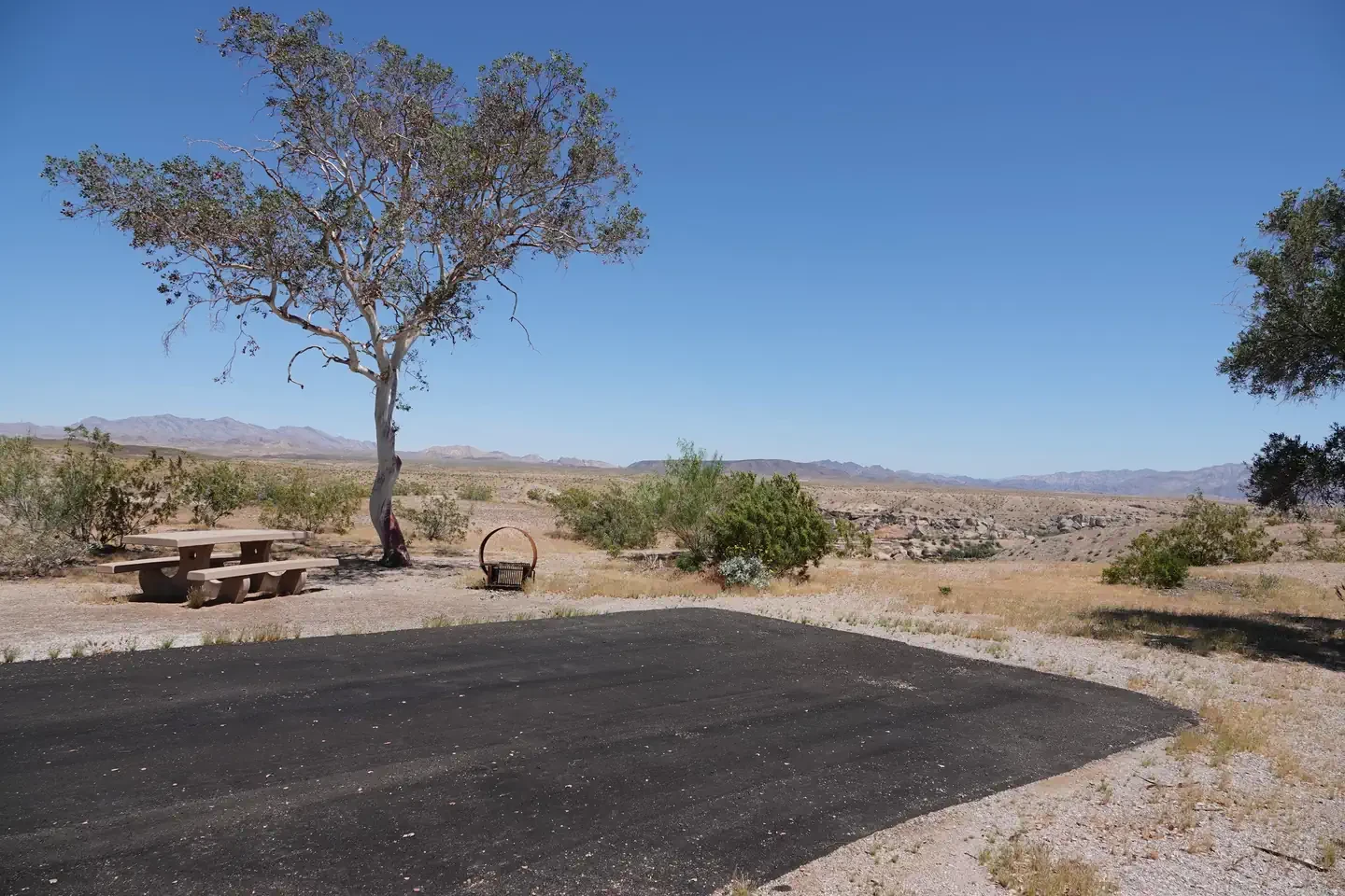 Site 62