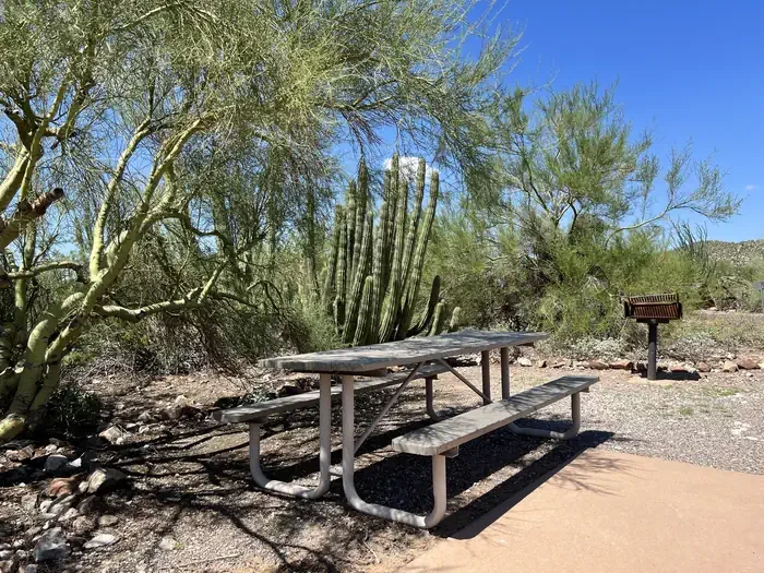 Twin Peaks Campground