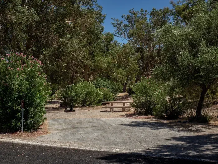 Site 20