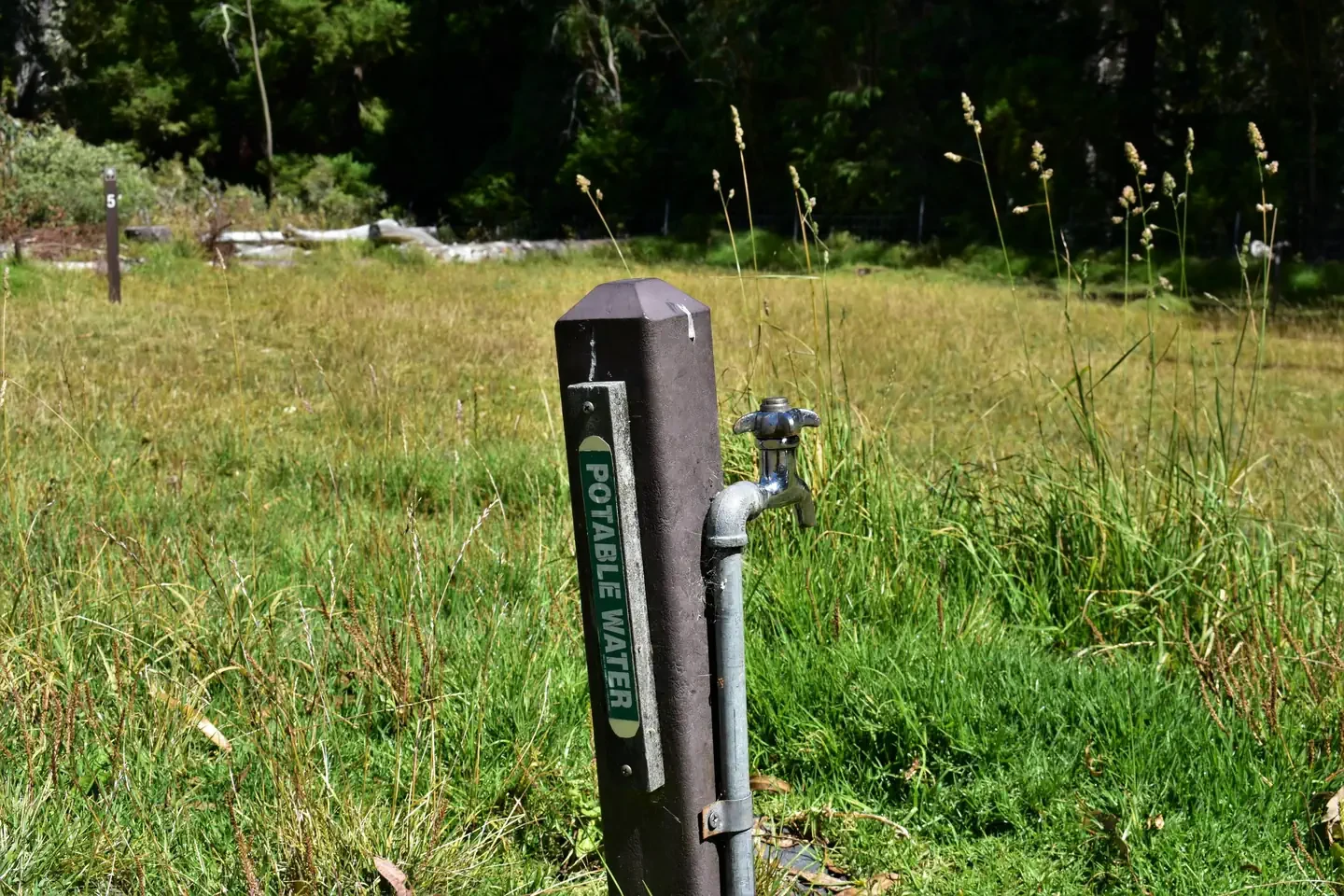 Hosmer Grove Campground