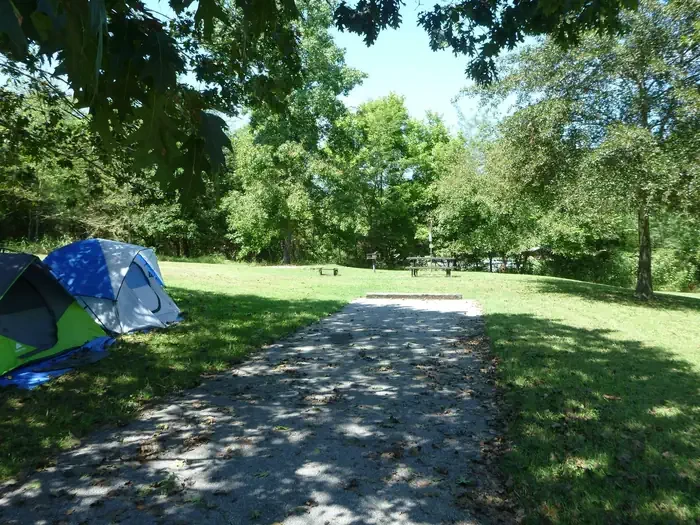 Site# 20