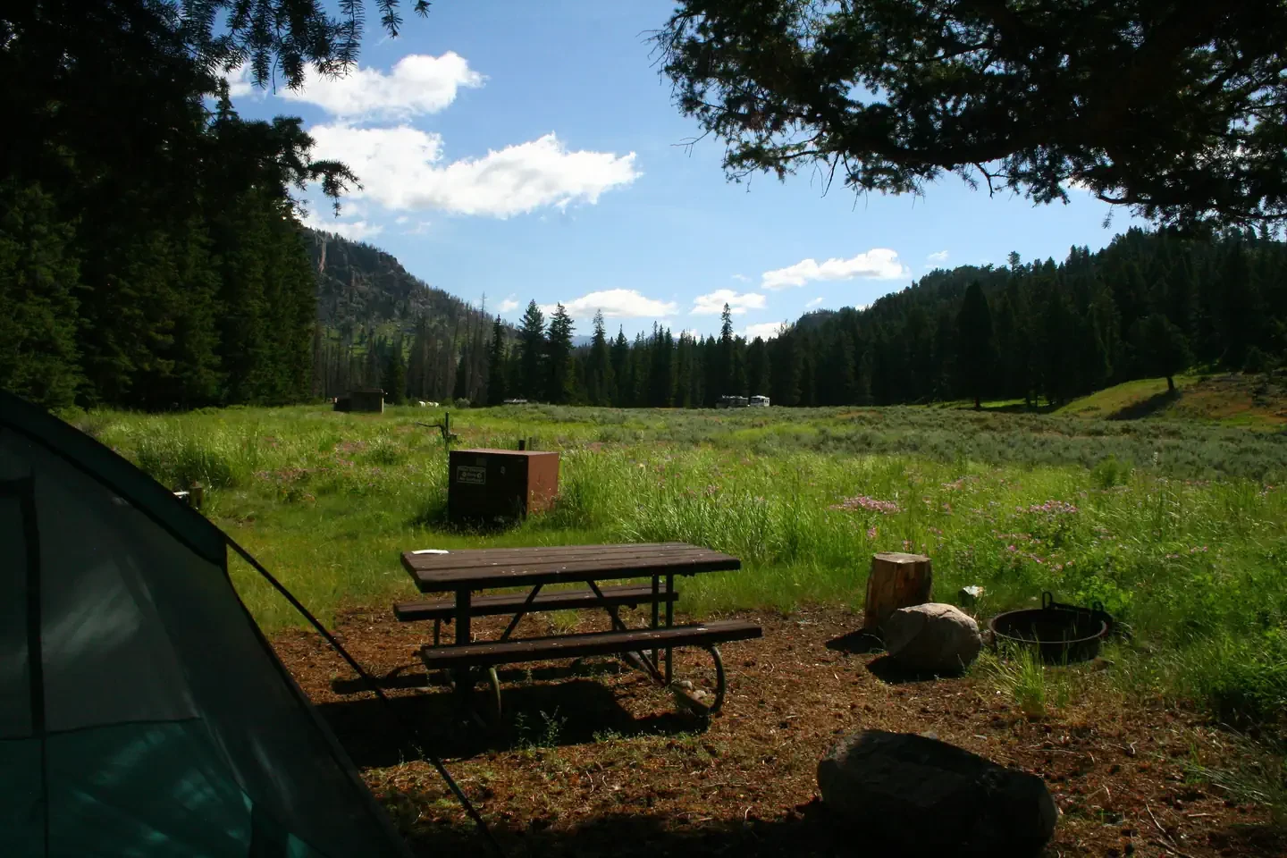 Slough Creek site #8