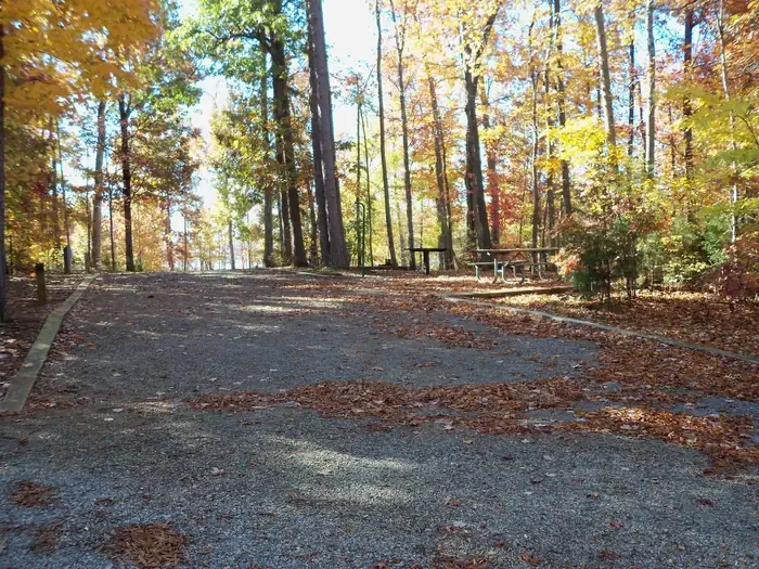 39D