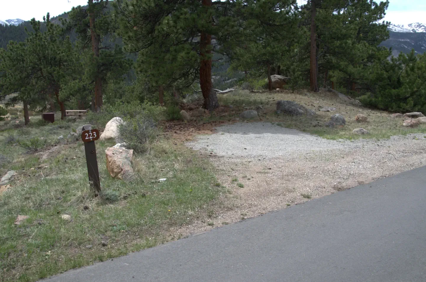D223