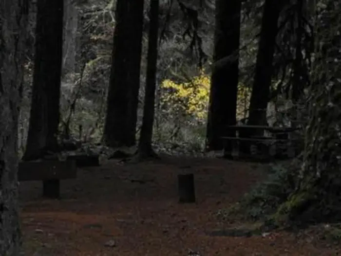 Limberlost Campground