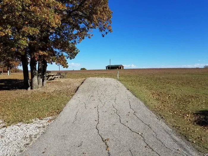 C55
