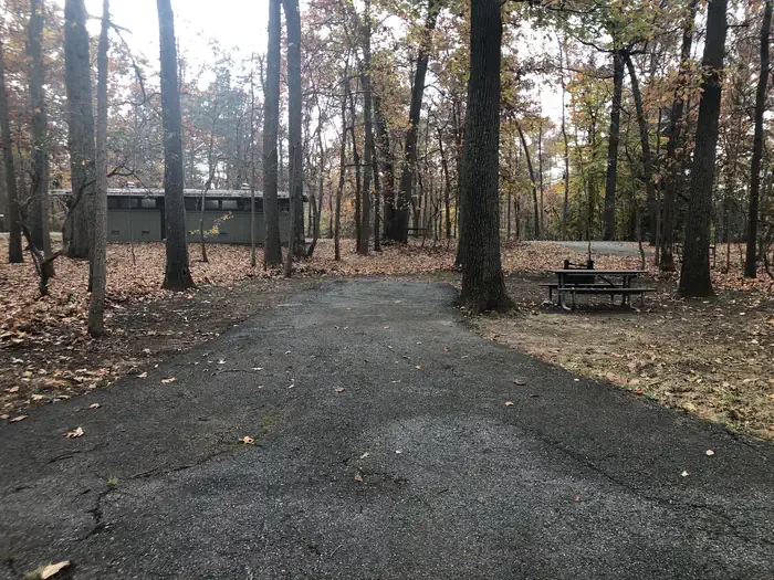 B46