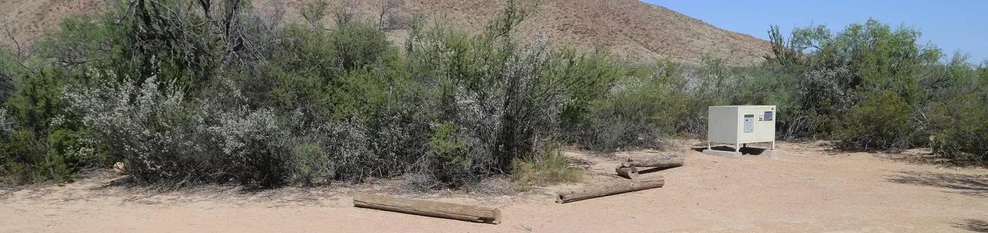Grapevine Hills 4