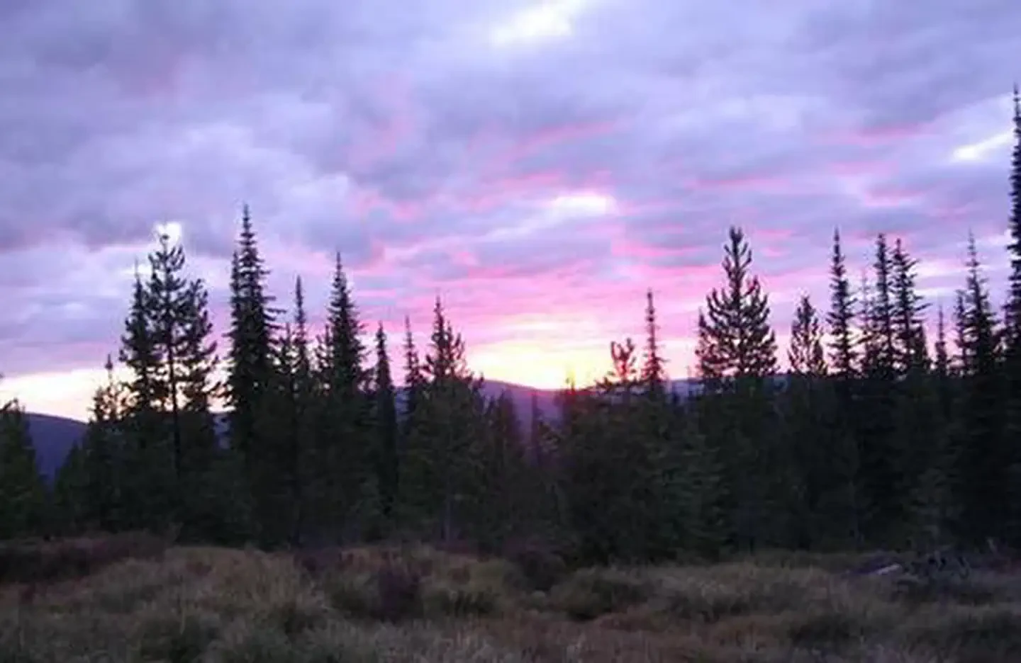 Liz Butte Cabin