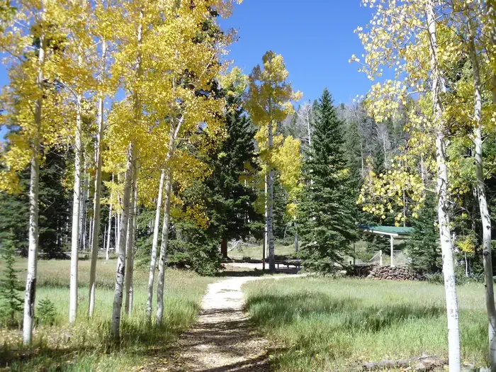 Duck Creek