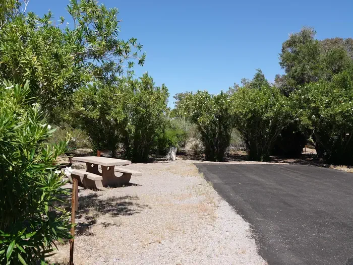 Site 20