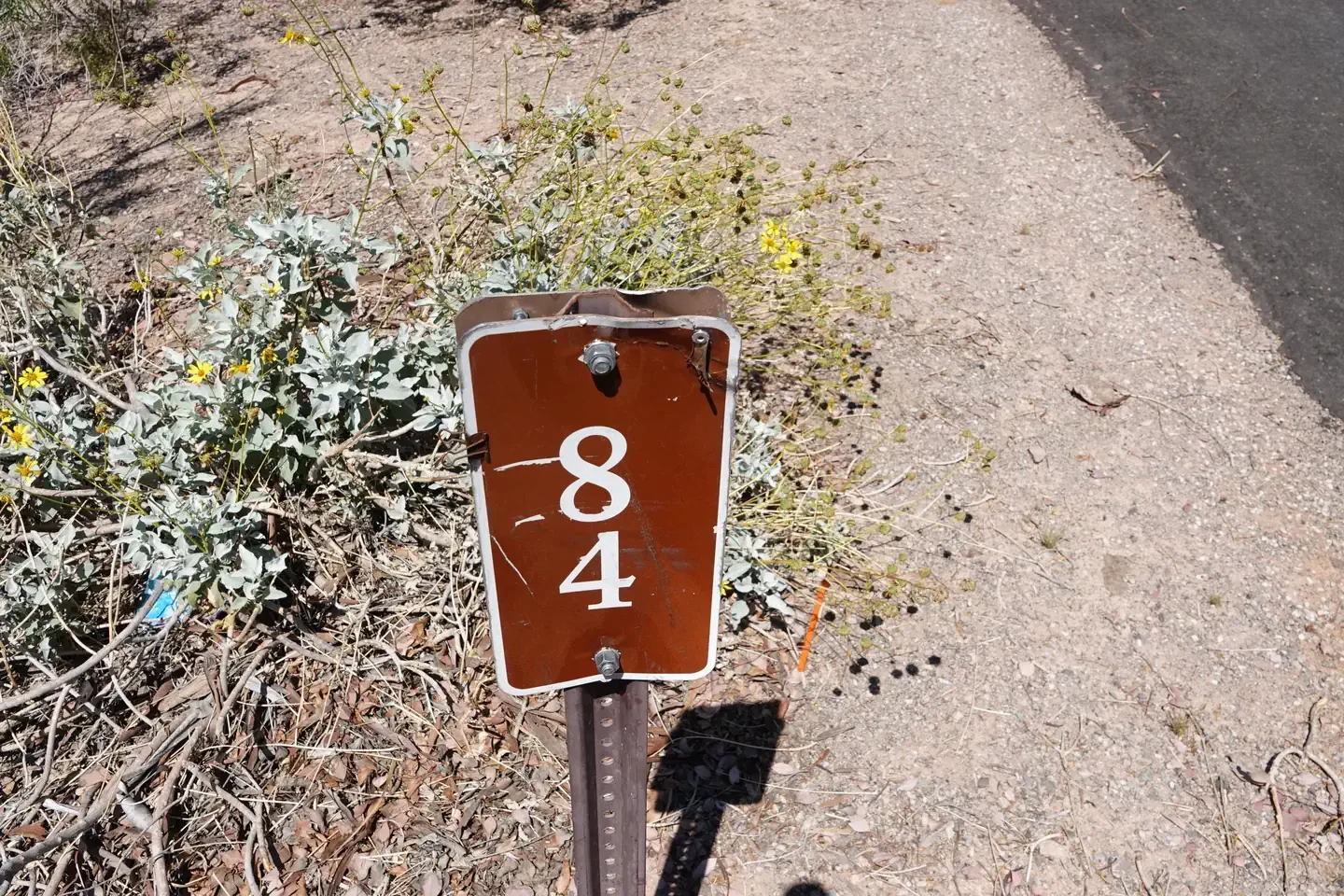 Site 84