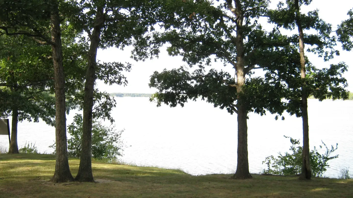 Forrest W. Bo Wood Picnic Shelter