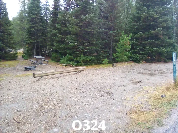324