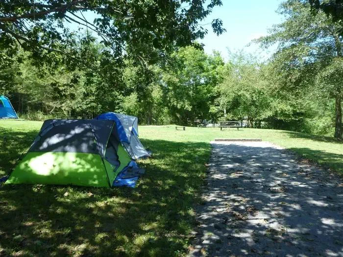 Site# 20