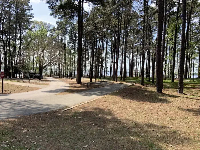 Alley Creek Camp