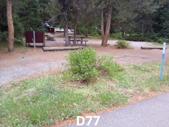 77