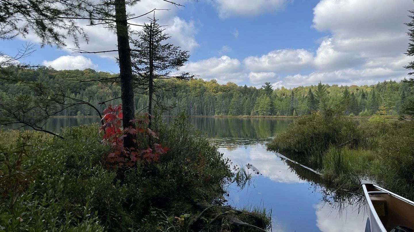 Sylvania Wilderness Backcountry Camping