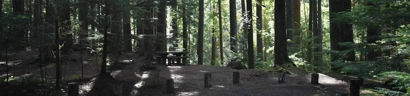 F009