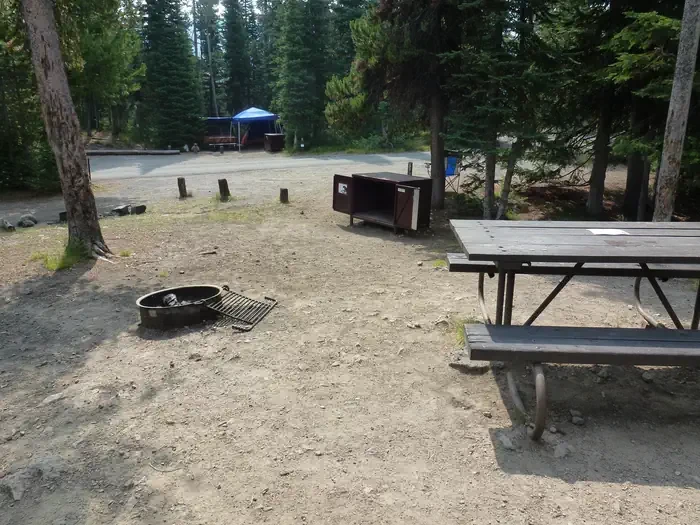 Lewis Lake site #33