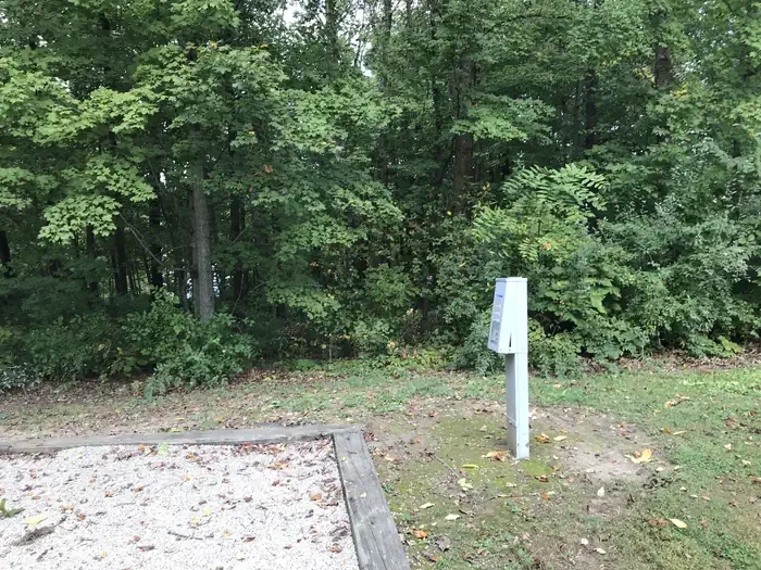 036