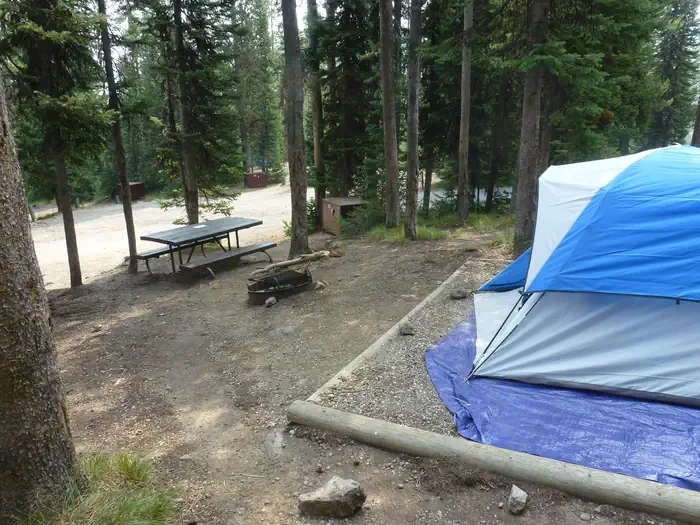 Lewis Lake site #54