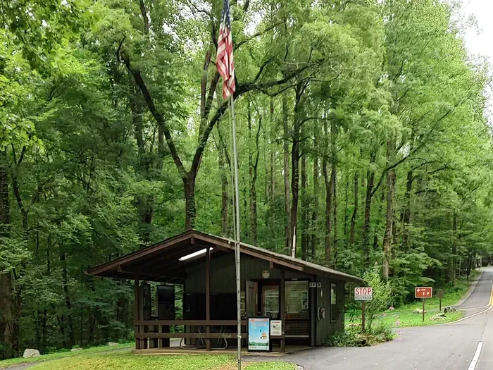 Cosby Campground
