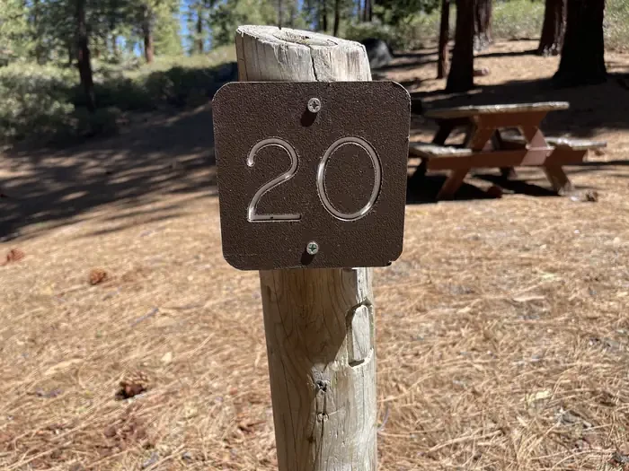 20