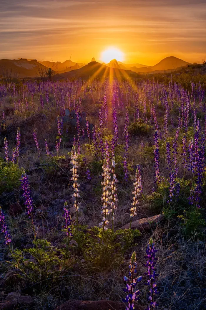 Rio Grande Village (Big Bend, TX)