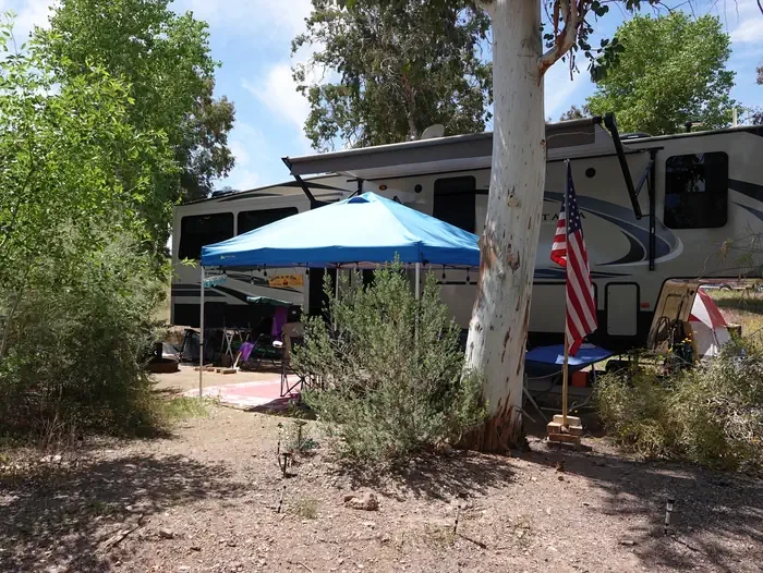 Site 38
