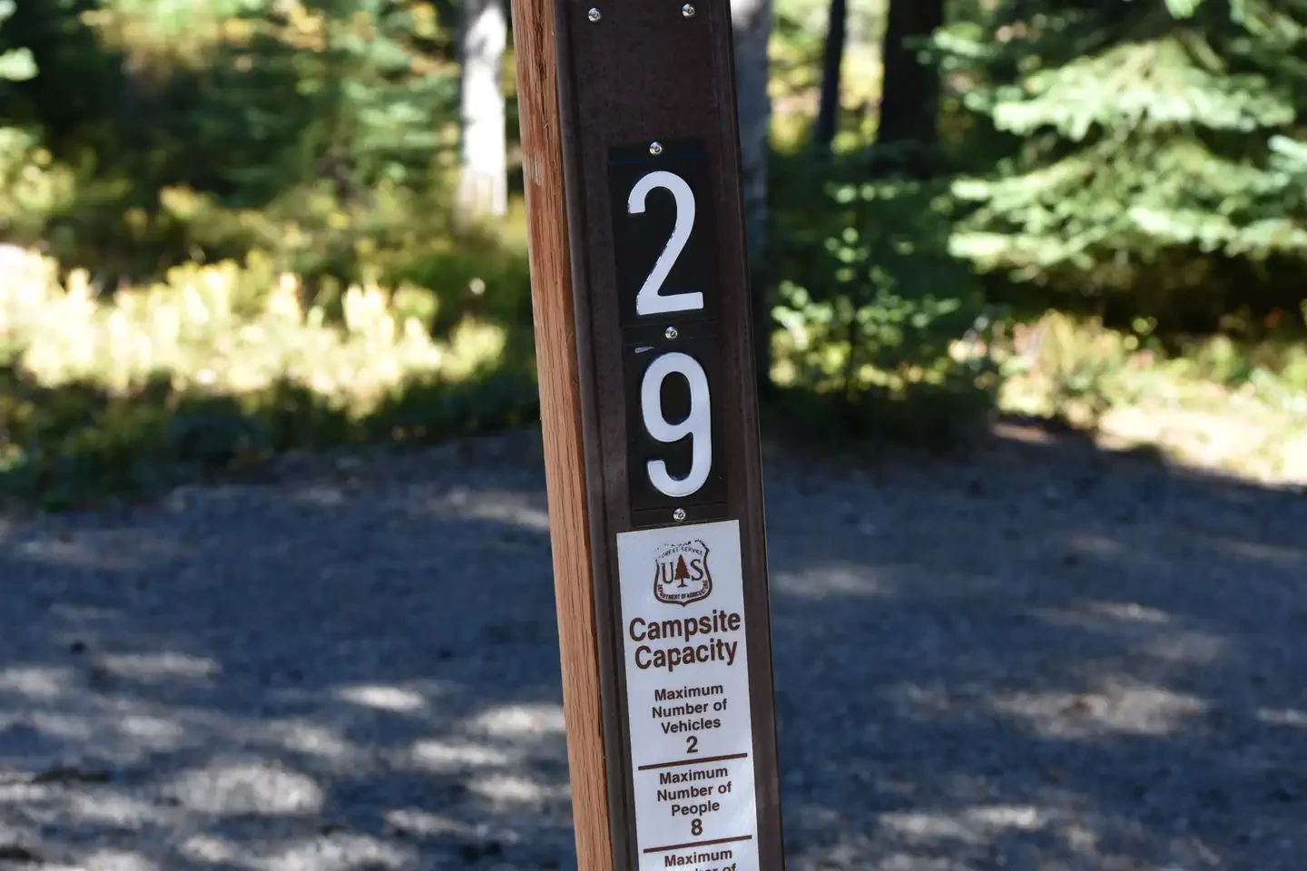 29