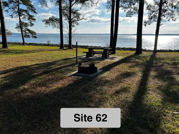 62